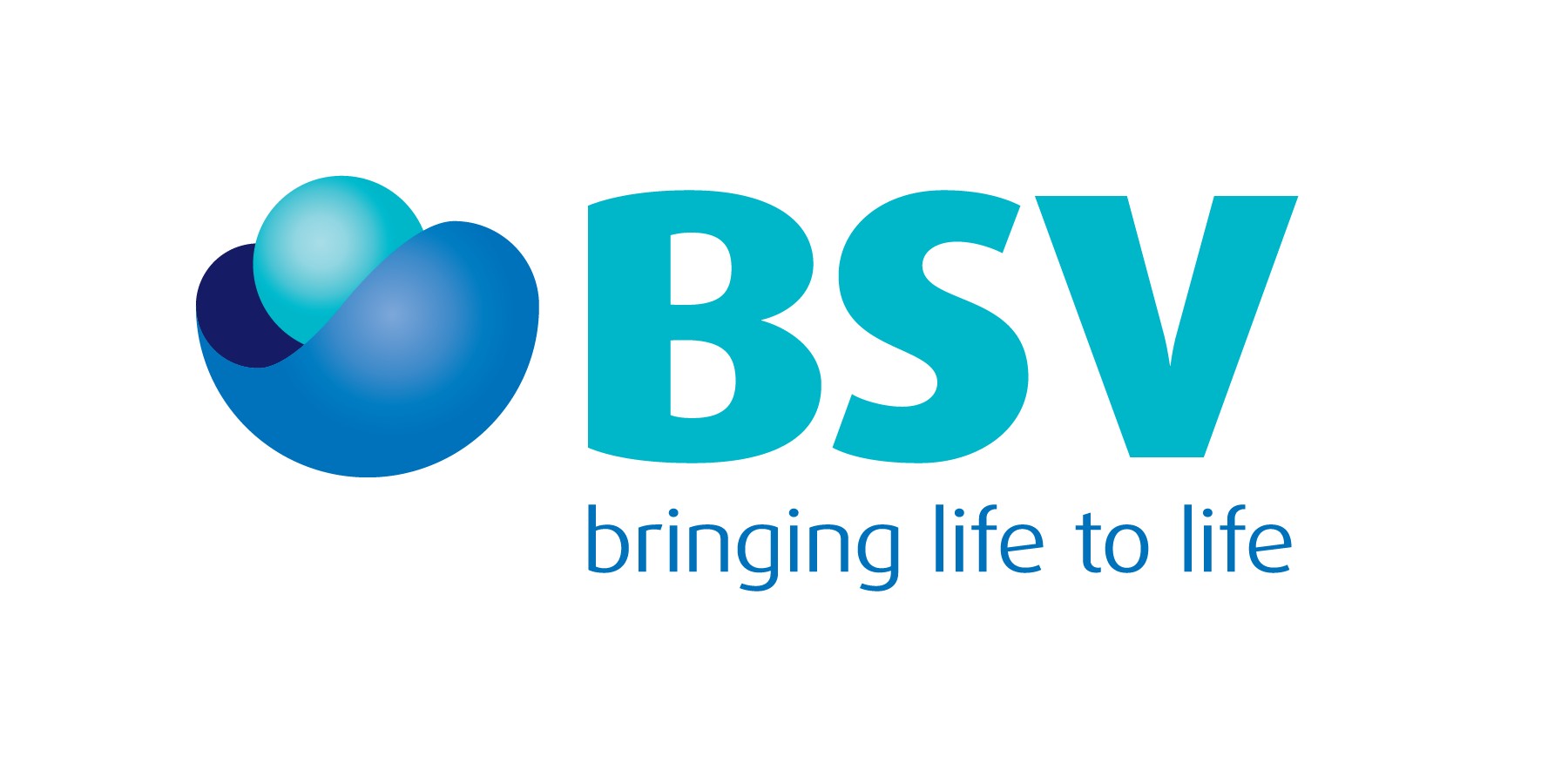 bsv group