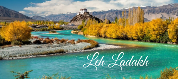 Leh Ladakh Tour Packages