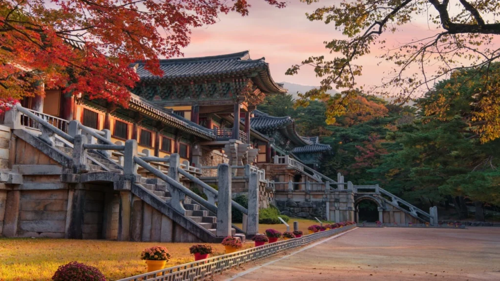 South Korea travel packages for Gyeongju