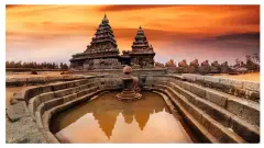 Discover The Magic Of Southern India With South India Trip Packages